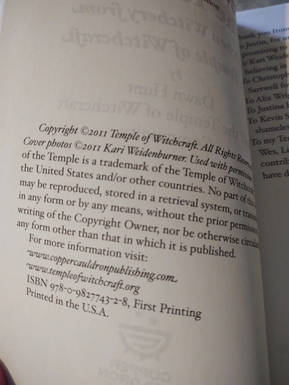 Tastes From the Temple by Dawn Hunt - new book of Kitchen Witchery - Picture 4 of 5